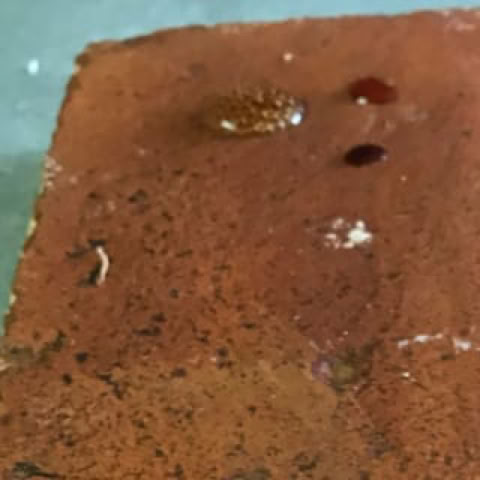 Decapez vos tomettes en terre cuite